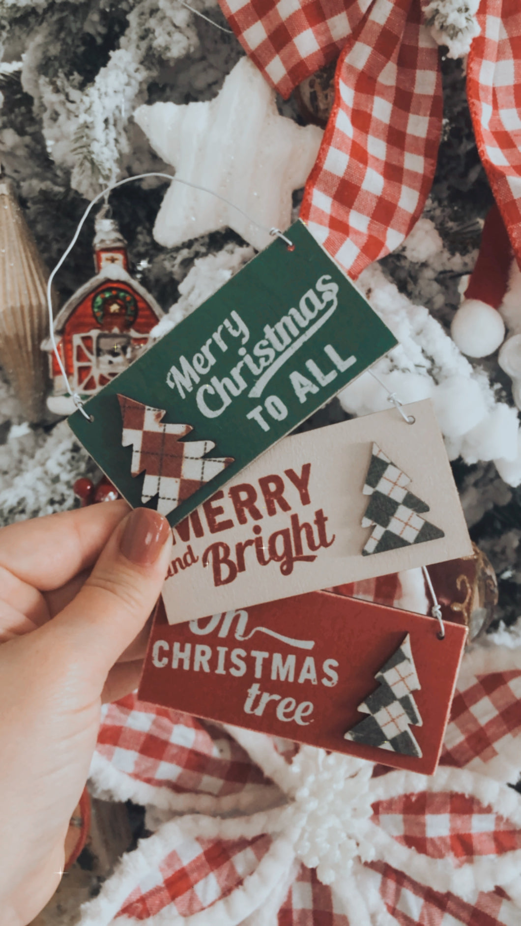 Retro Style Wooden Ornament Set/3
