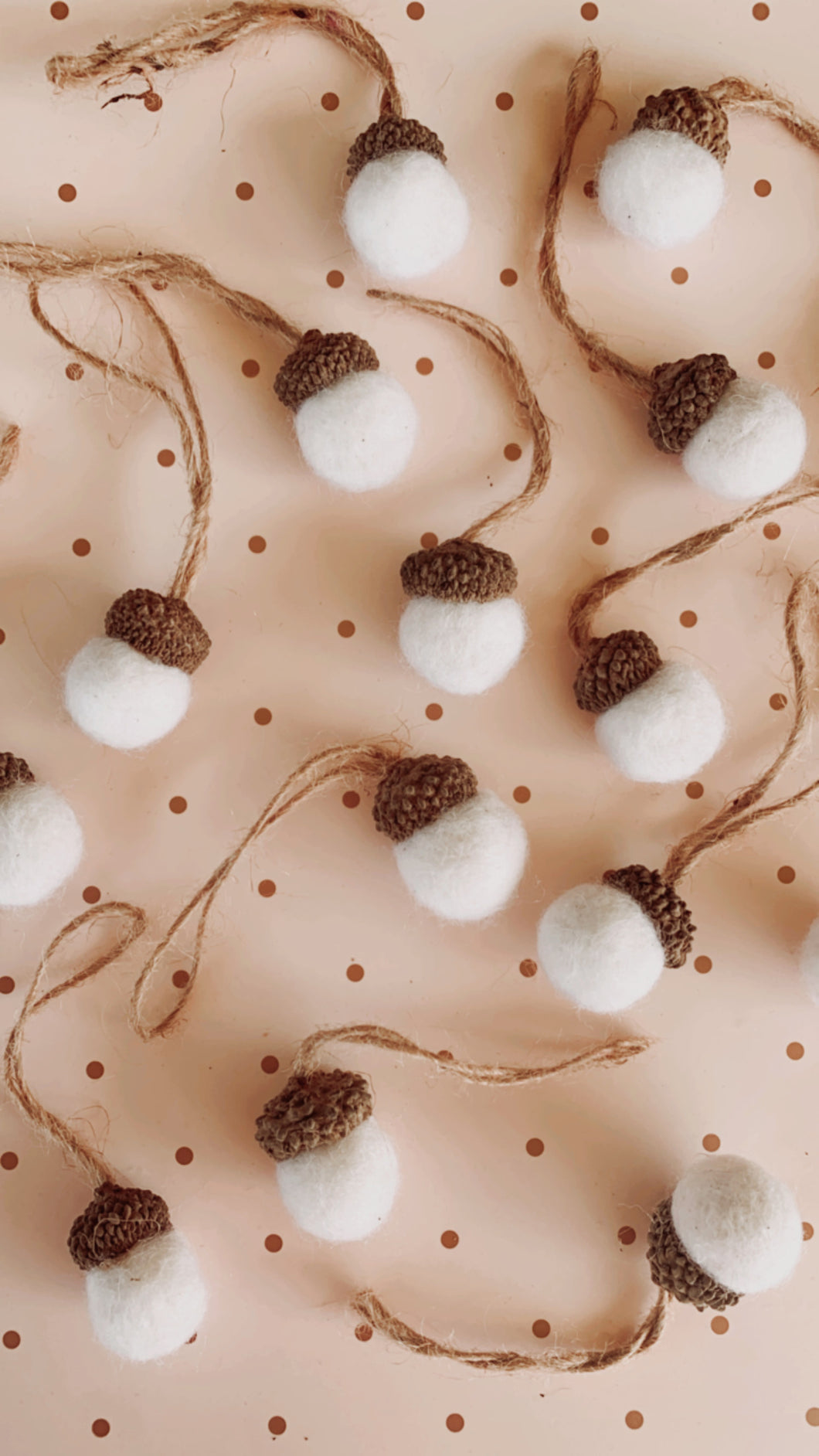 Acorns Set of 5