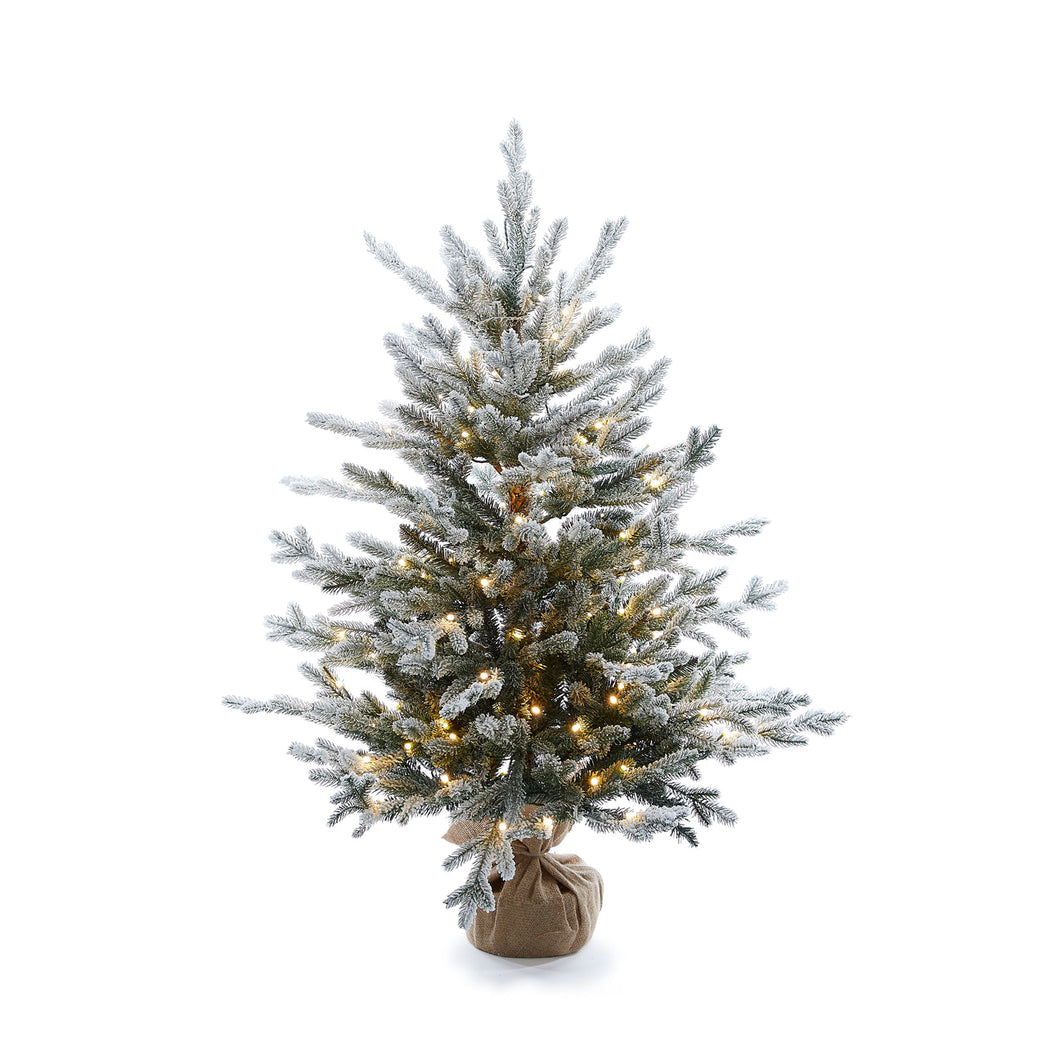 3.5 FT POTTED BALSAM FIR TREE